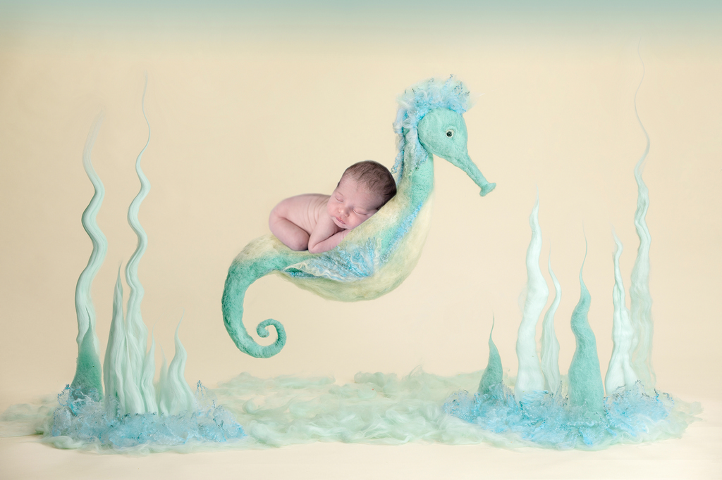 Newborn baby asleep on the back of a seahorse - professional newborn photography by Kelly McCambley